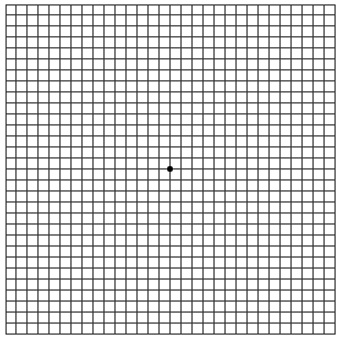 Amslers Chart